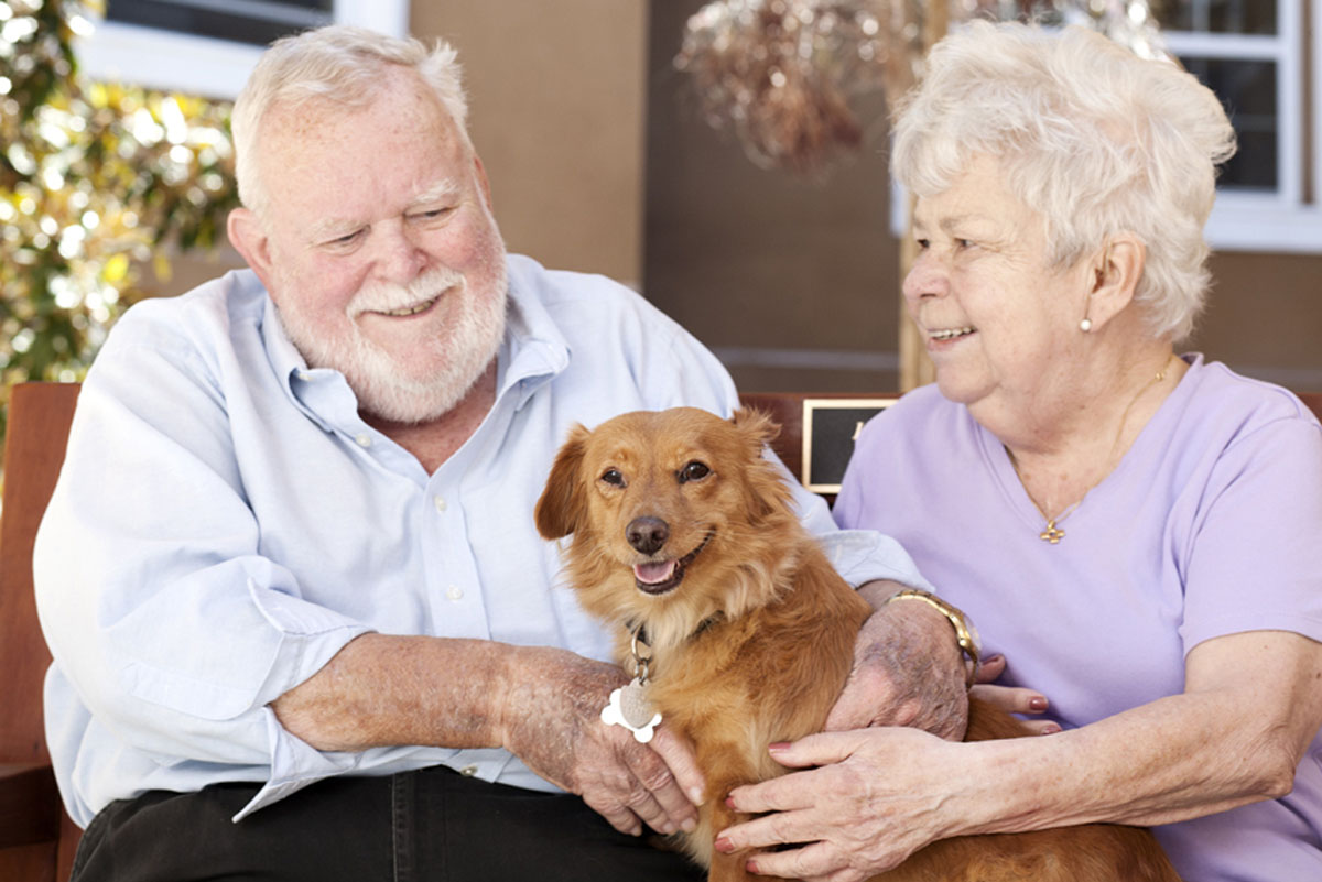 Belmont Village Pets Stories Clark and Spencer