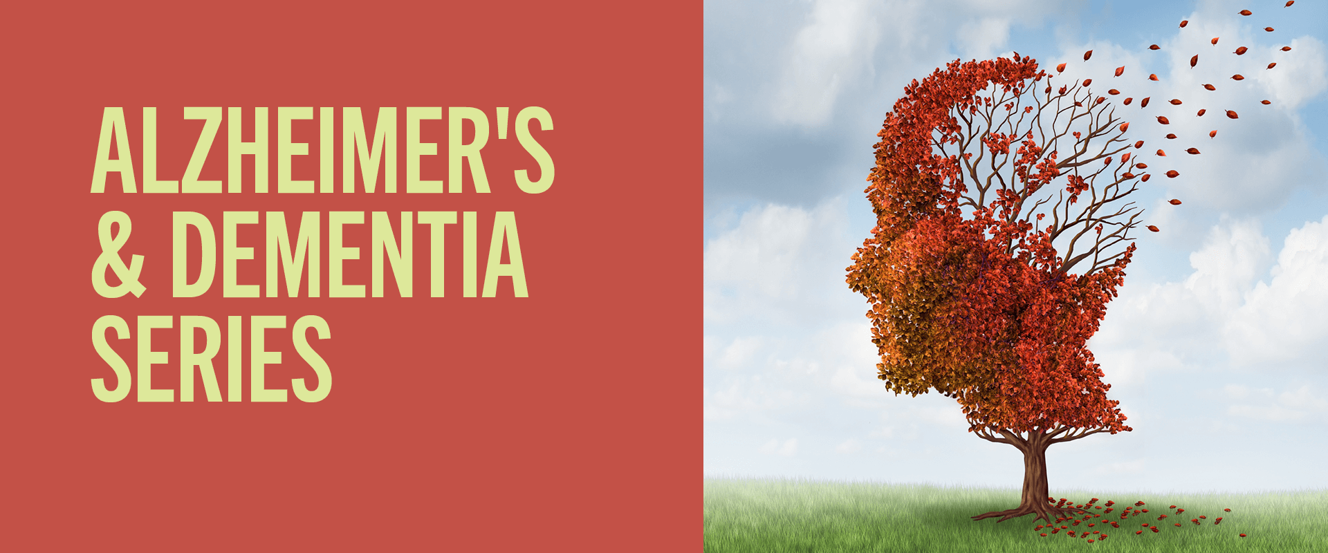 wu_alzanddementia_1920x800