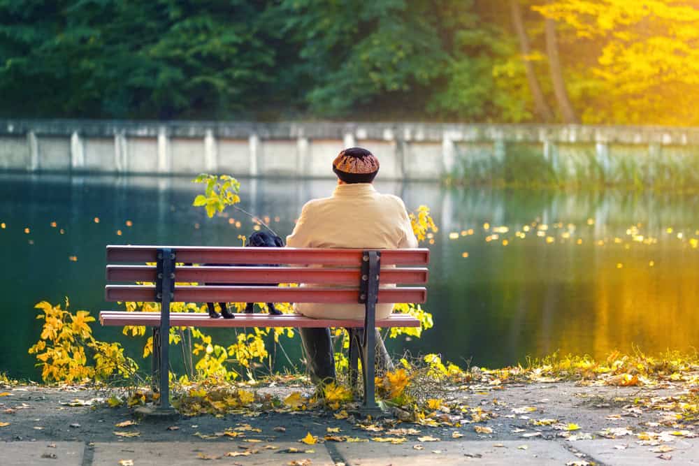 Senior woman sitting alone on park bench by lake, reflecting in peaceful outdoor setting.