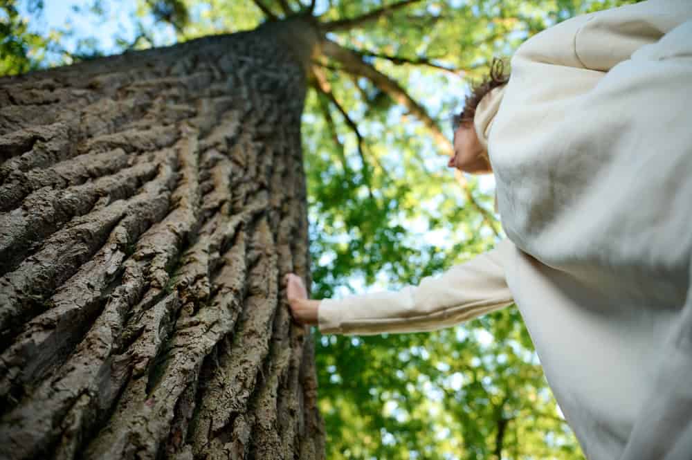A woman standing under a tree and placing her hand on it